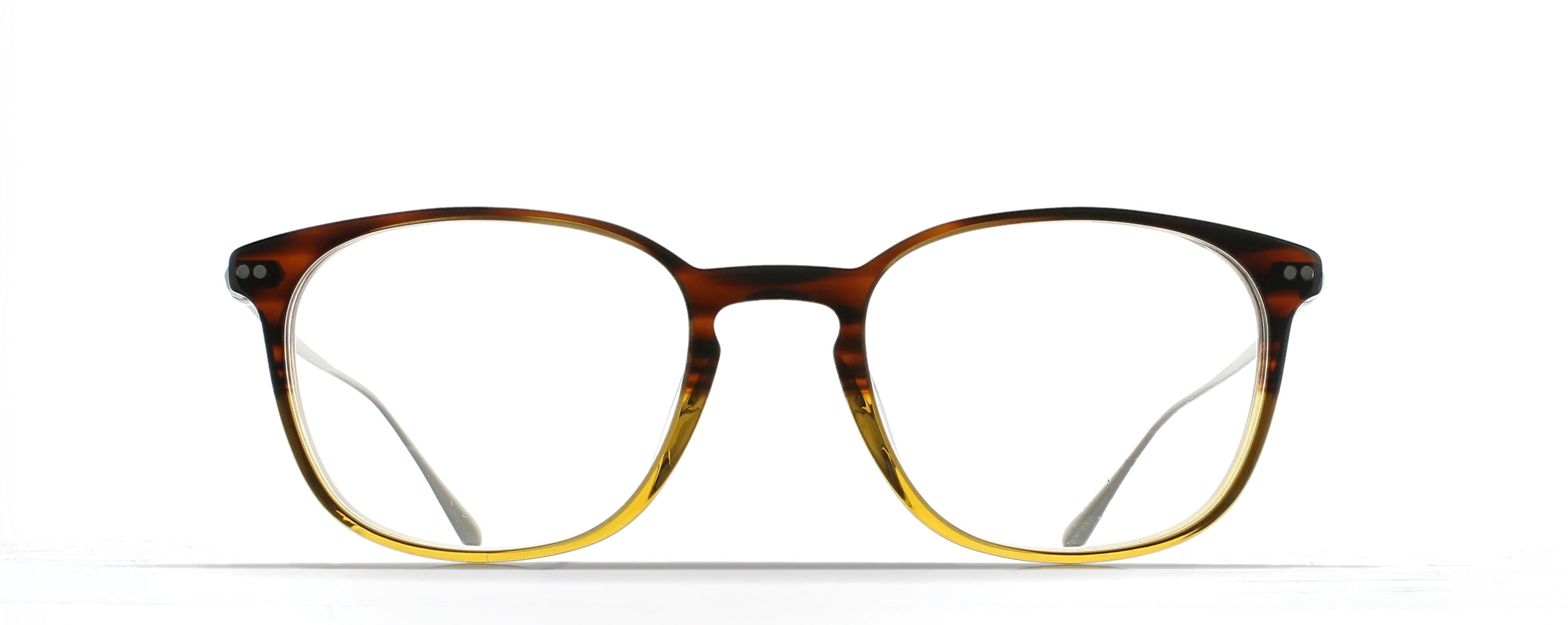 BRETT James Gradient Brown/Silver C23